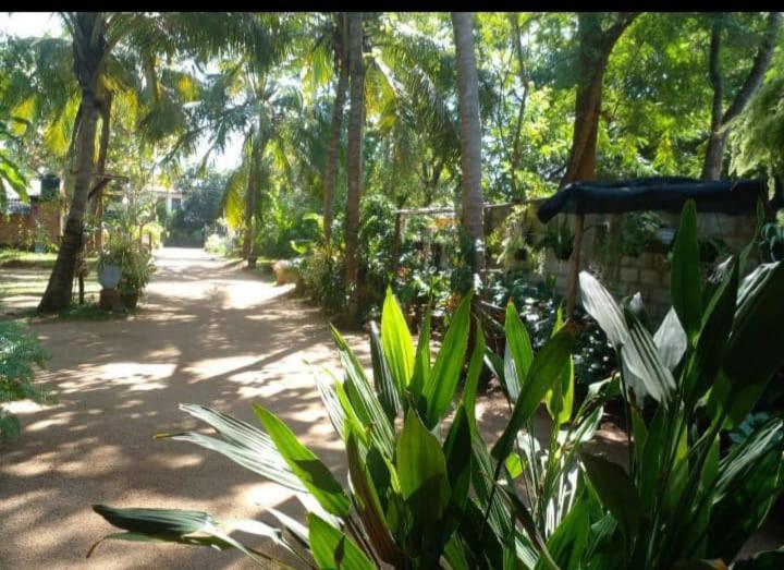 Ossa Home Stay Anuradhapura Buitenkant foto