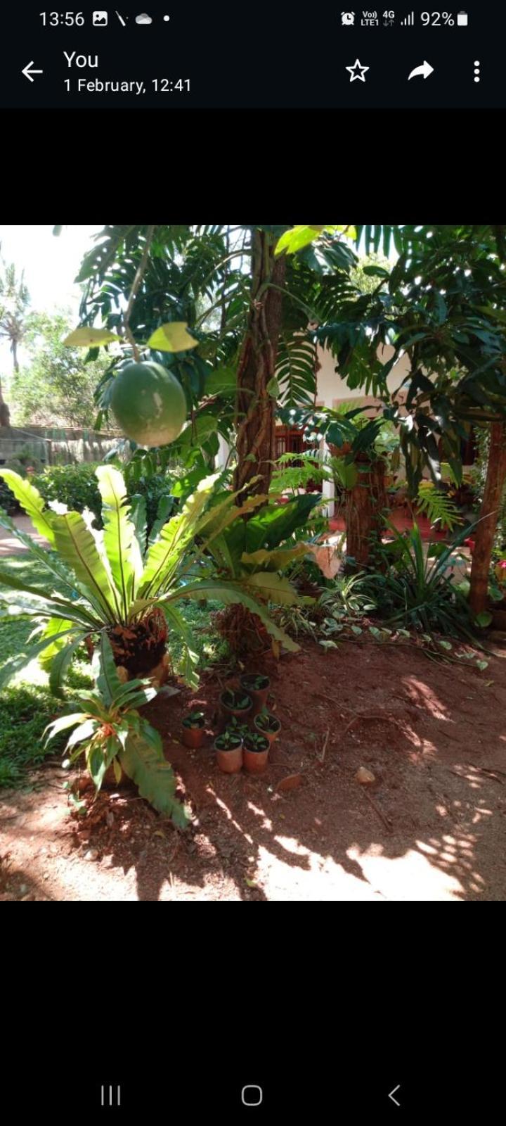 Ossa Home Stay Anuradhapura Buitenkant foto