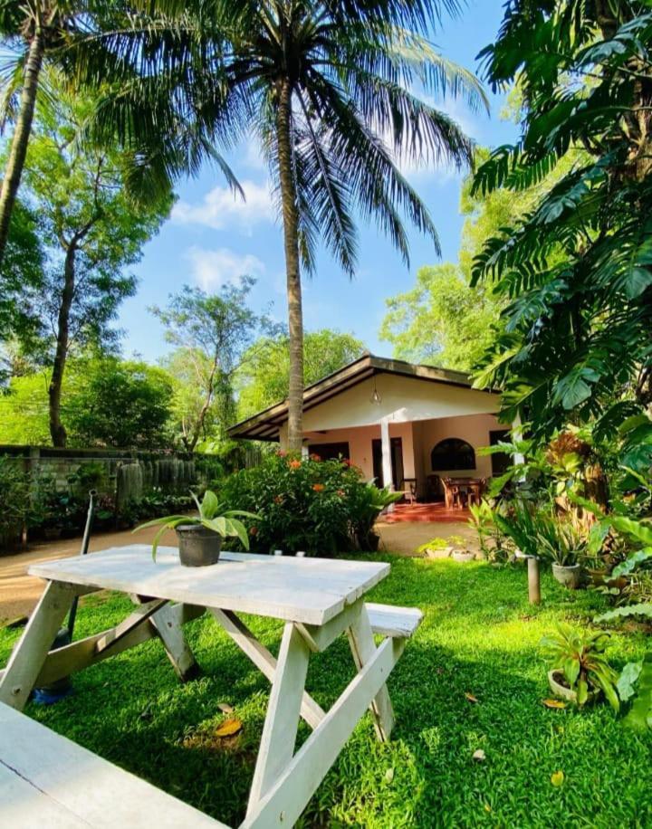 Ossa Home Stay Anuradhapura Buitenkant foto